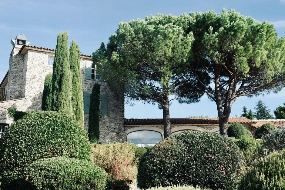 Elagage et entretien d'arbre